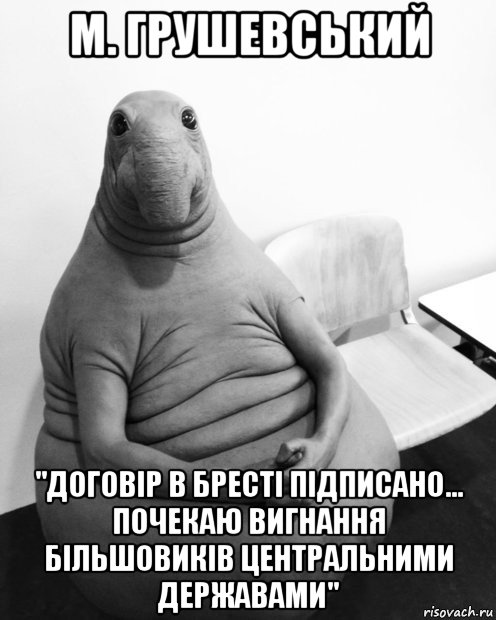 м. грушевський "договір в бресті підписано... почекаю вигнання більшовиків центральними державами"