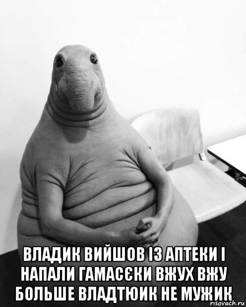  владик вийшов із аптеки і напали гамасєки вжух вжу больше владтюик не мужик, Мем  Ждун