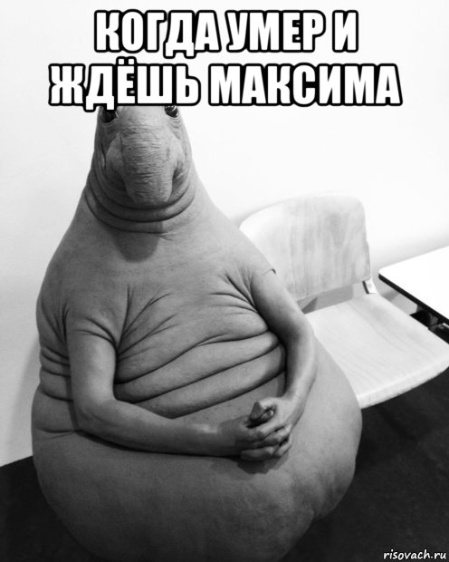 когда умер и ждёшь максима 