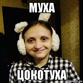 муха цокотуха, Мем 8888