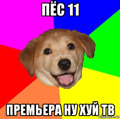 пёс 11 премьера ну хуй тв