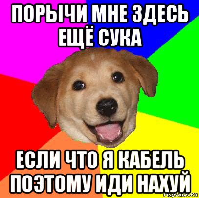 порычи мне здесь ещё сука если что я кабель поэтому иди нахуй, Мем Advice Dog