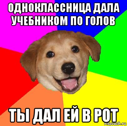 одноклассница дала учебником по голов ты дал ей в рот, Мем Advice Dog