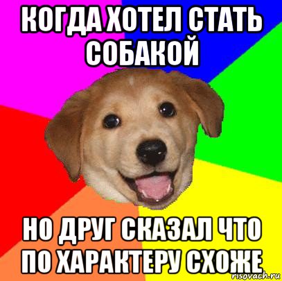 когда хотел стать собакой но друг сказал что по характеру схоже, Мем Advice Dog