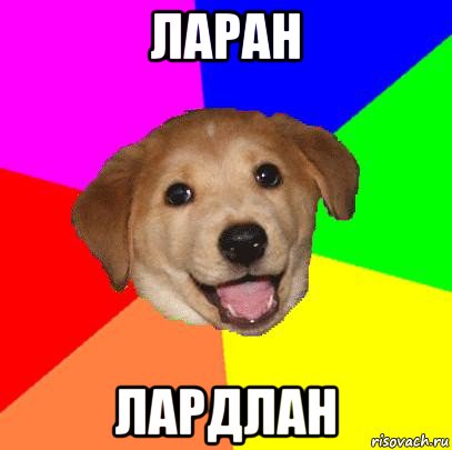 ларан лардлан, Мем Advice Dog