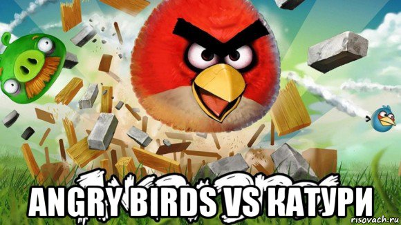  angry birds vs катури