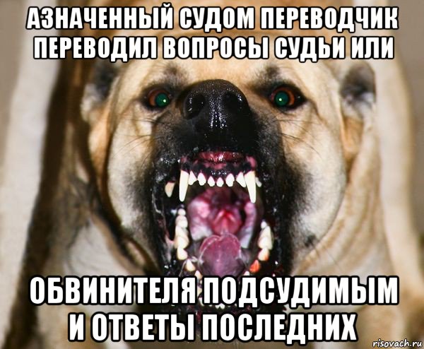 азначенный судом переводчик переводил вопросы судьи или обвинителя подсудимым и ответы последних, Мем бешеная собака