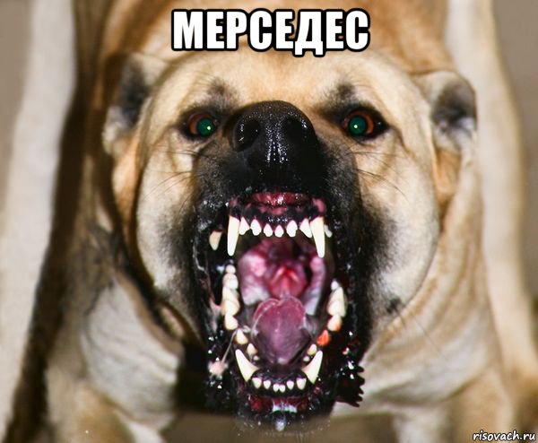 мерседес 