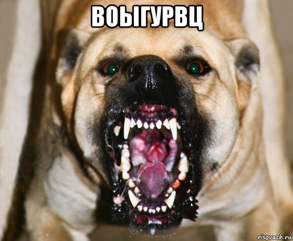 воыгурвц 