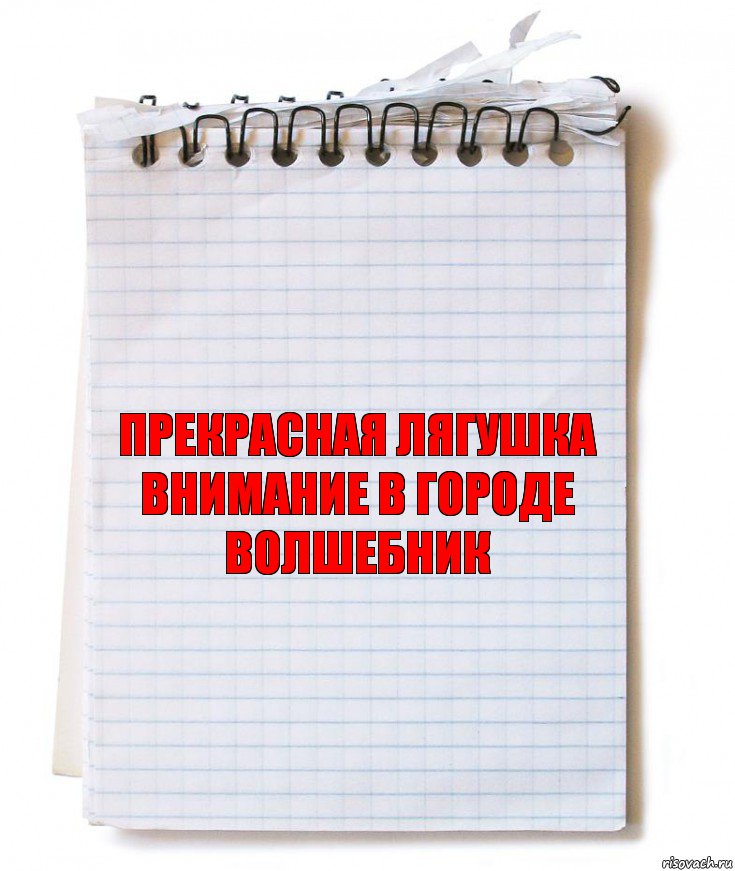 Прекрасная лягушка внимание в городе волшебник, Комикс   блокнот с пружинкой