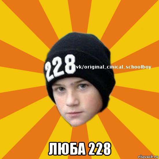  люба 228, Мем  Циничный школьник