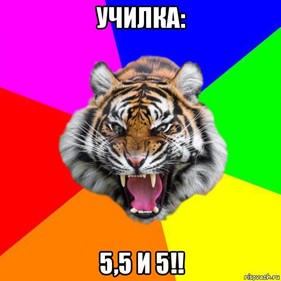 училка: 5,5 и 5!!, Мем  ДЕРЗКИЙ ТИГР