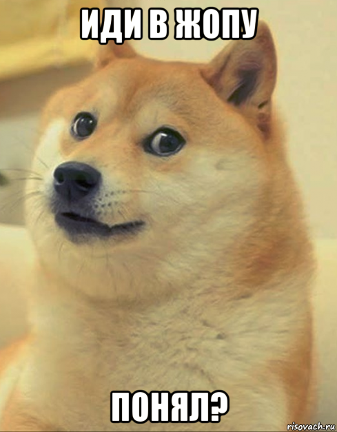 иди в жопу понял?, Мем doge woof