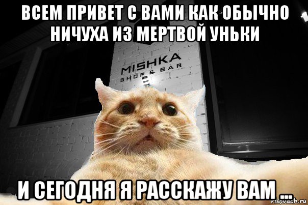 всем привет с вами как обычно ничуха из мертвой уньки и сегодня я расскажу вам ..., Мем   Джонни Кэтсвилл