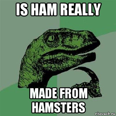 is ham really made from hamsters, Мем Филосораптор