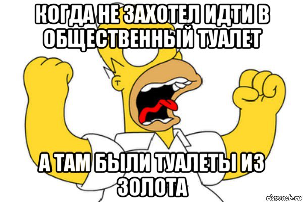 когда не захотел идти в общественный туалет а там были туалеты из золота