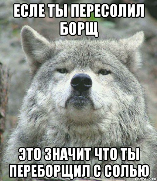 есле ты пересолил борщ это значит что ты переборщил с солью, Мем    Гордый волк