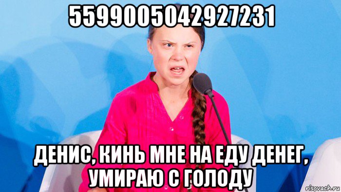 5599005042927231 денис, кинь мне на еду денег, умираю с голоду, Мем Грета тунберг