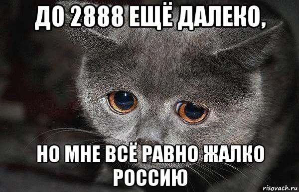 до 2888 ещё далеко, но мне всё равно жалко россию, Мем  Грустный кот