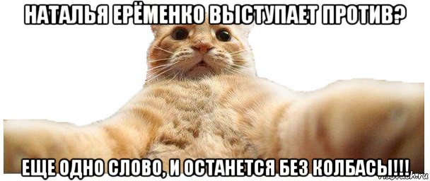 наталья ерёменко выступает против? еще одно слово, и останется без колбасы!!!, Мем   Кэтсвилл