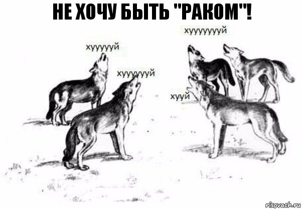 Не хочу быть "Раком"!, Комикс Когда хочешь