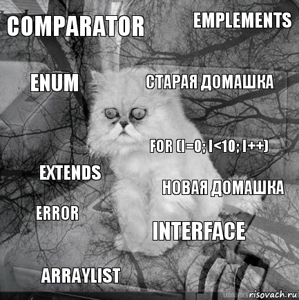 Comparator НОВАЯ ДОМАШКА СТАРАЯ ДОМАШКА ArrayList Extends Emplements Interface Enum ERROR for (i=0; i<10; i++), Комикс  кот безысходность