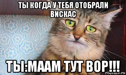 ты когда у тебя отобрали вискас ты:маам тут вор!!!