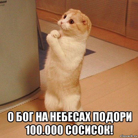  о бог на небесах подори 100.000 сосисок!