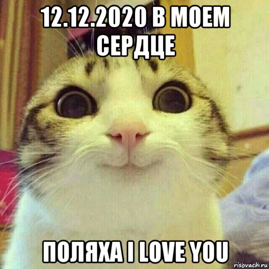 12.12.2020 в моем сердце поляха i love you, Мем       Котяка-улыбака