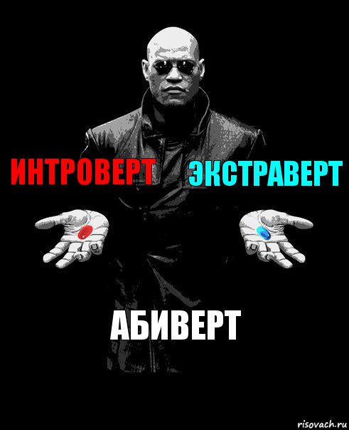 Интроверт Экстраверт Абиверт