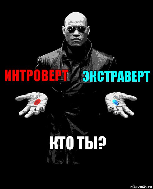 Интроверт Экстраверт Кто ты?, Комикс Выбор