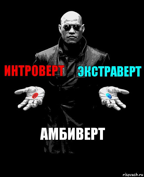 Интроверт Экстраверт Амбиверт