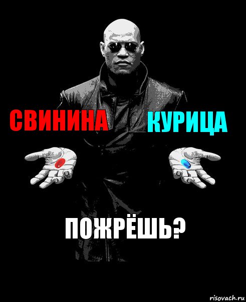 Свинина Курица Пожрёшь?, Комикс Выбор