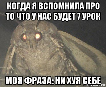 когда я вспомнила про то что у нас будет 7 урок моя фраза: ни хуя себе, Мем Матылёк