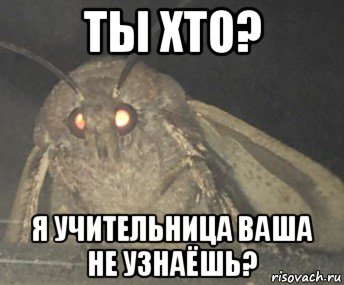 ты хто? я учительница ваша не узнаёшь?, Мем Матылёк