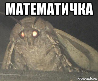 математичка , Мем Матылёк