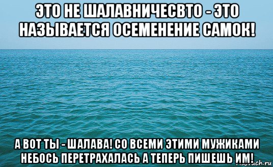 это не шалавничесвто - это называется осеменение самок! а вот ты - шалава! со всеми этими мужиками небось перетрахалась а теперь пишешь им!