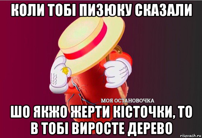 коли тобі пизюку сказали шо якжо жерти кісточки, то в тобі виросте дерево, Мем   Моя остановочка