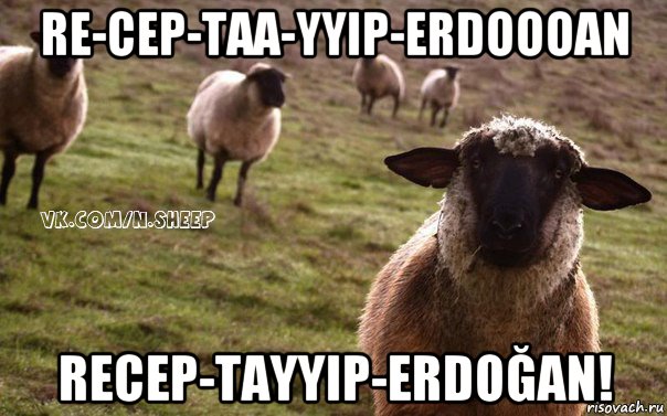 re-cep-taa-yyip-erdoooan recep-tayyip-erdoğan!, Мем  Наивная Овца