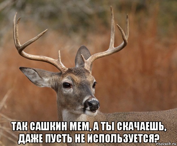  так сашкин мем, а ты скачаешь, даже пусть не используется?, Мем  Наивный Олень v2