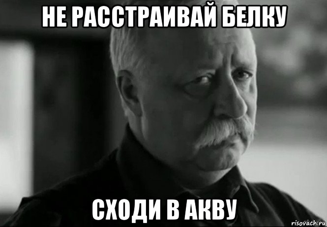 не расстраивай белку сходи в акву, Мем Не расстраивай Леонида Аркадьевича