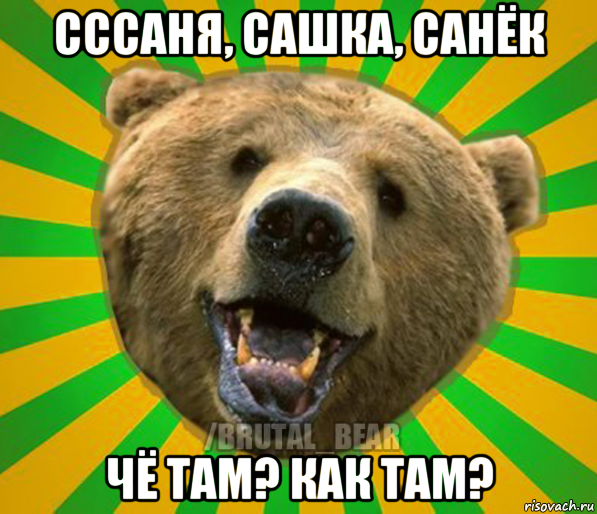 сссаня, сашка, санëк чë там? как там?