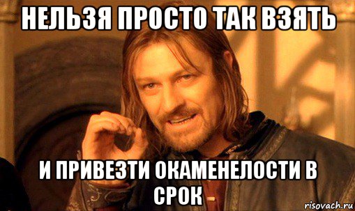 нельзя просто так взять и привезти окаменелости в срок, Мем Нельзя просто так взять и (Боромир мем)