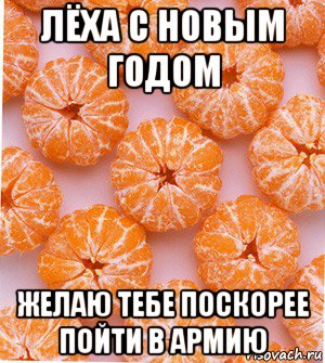 лёха с новым годом желаю тебе поскорее пойти в армию, Мем  НОВОГОДНИЕ СЕМКИ