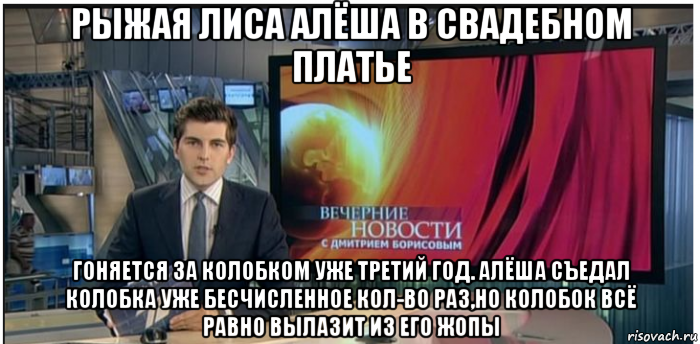 рыжая лиса алёша в свадебном платье гоняется за колобком уже третий год. алёша съедал колобка уже бесчисленное кол-во раз,но колобок всё равно вылазит из его жопы, Мем Новости