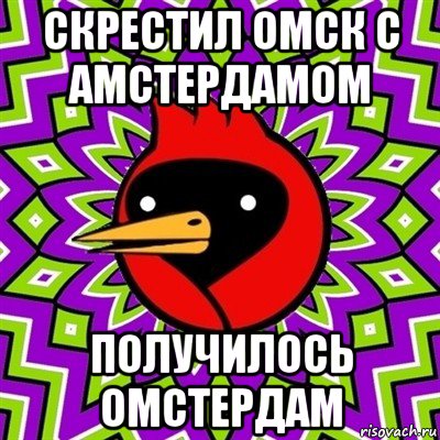 скрестил омск с амстердамом получилось омстердам, Мем Омская птица