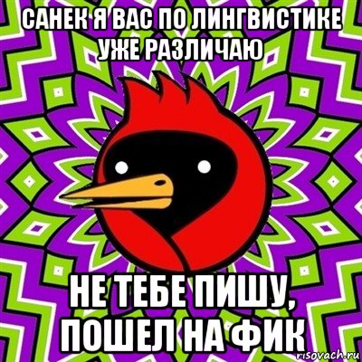 санек я вас по лингвистике уже различаю не тебе пишу, пошел на фик, Мем Омская птица