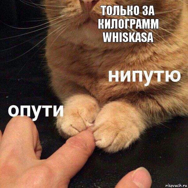 только за килограмм Whiskasа , Комикс Опути нипутю