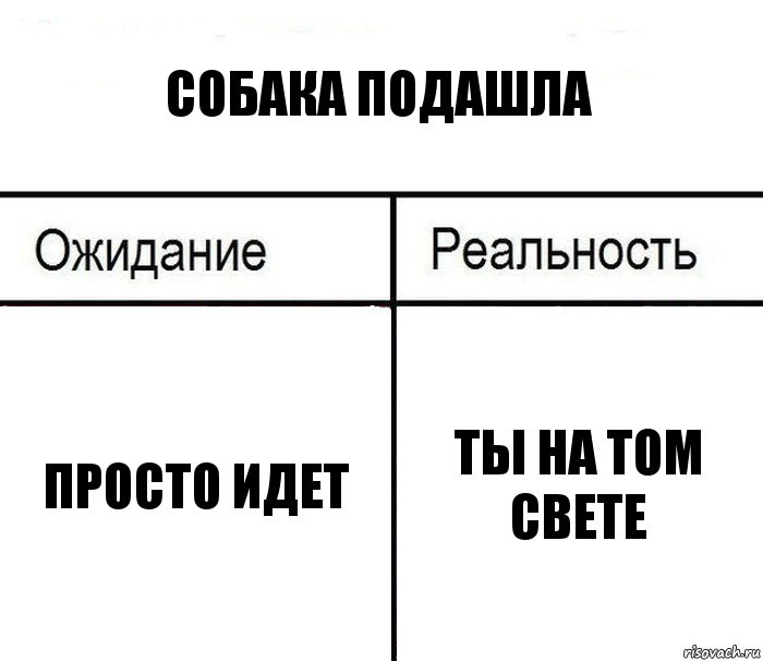 Собака подашла Просто идет Ты на том свете, Комикс  Ожидание - реальность