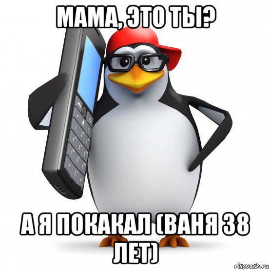 мама, это ты? а я покакал (ваня 38 лет), Мем   Пингвин звонит